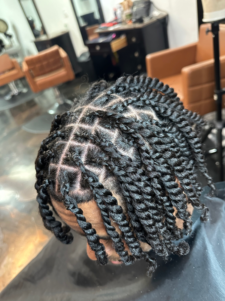 Two Strand Twist (full head)