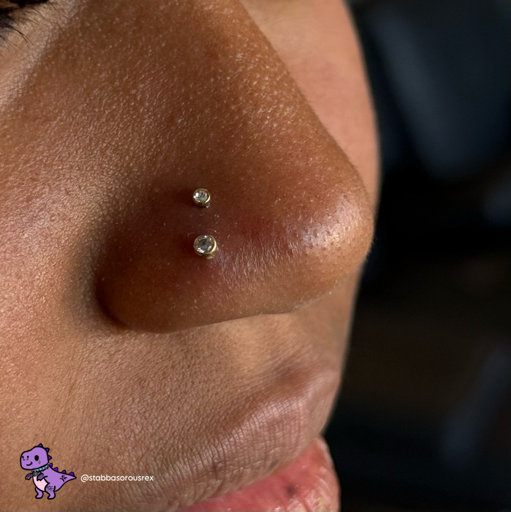 Double Nostril