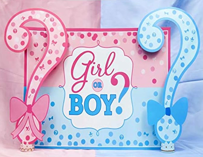 Gender Reveal 5 hrs