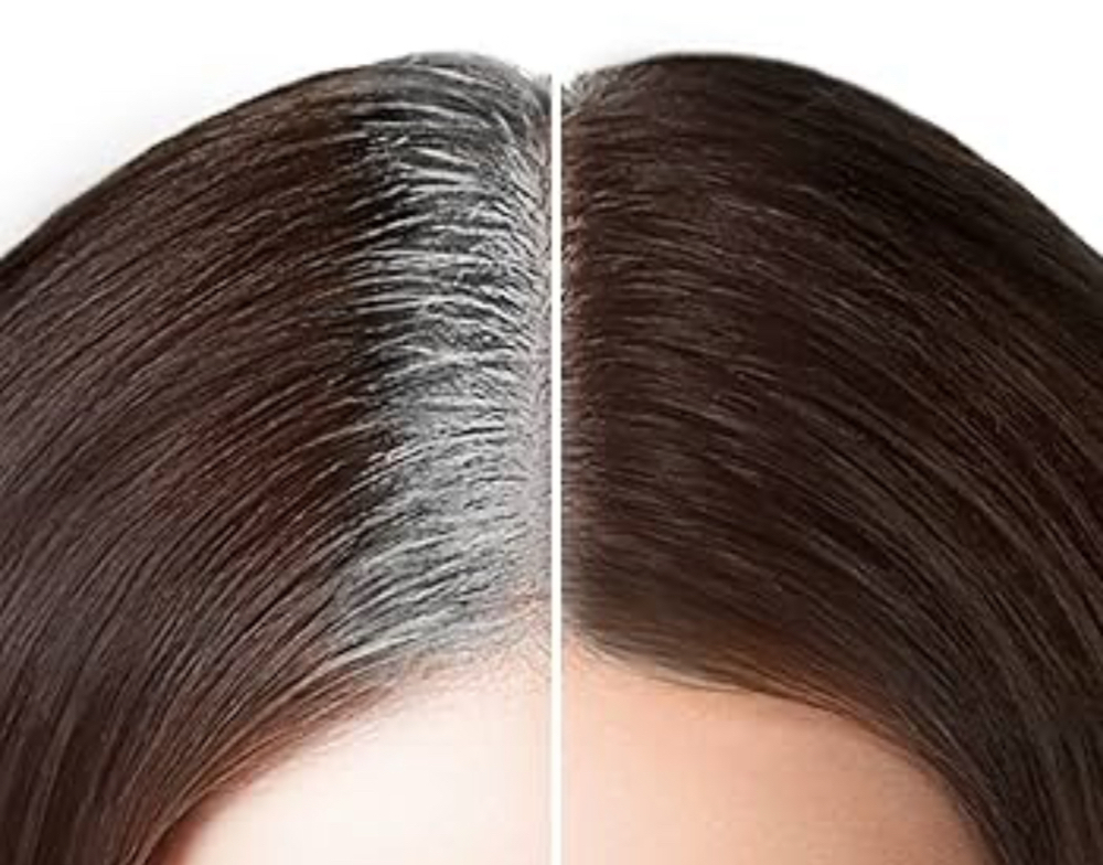 Base Color Only No Haircut/blowout