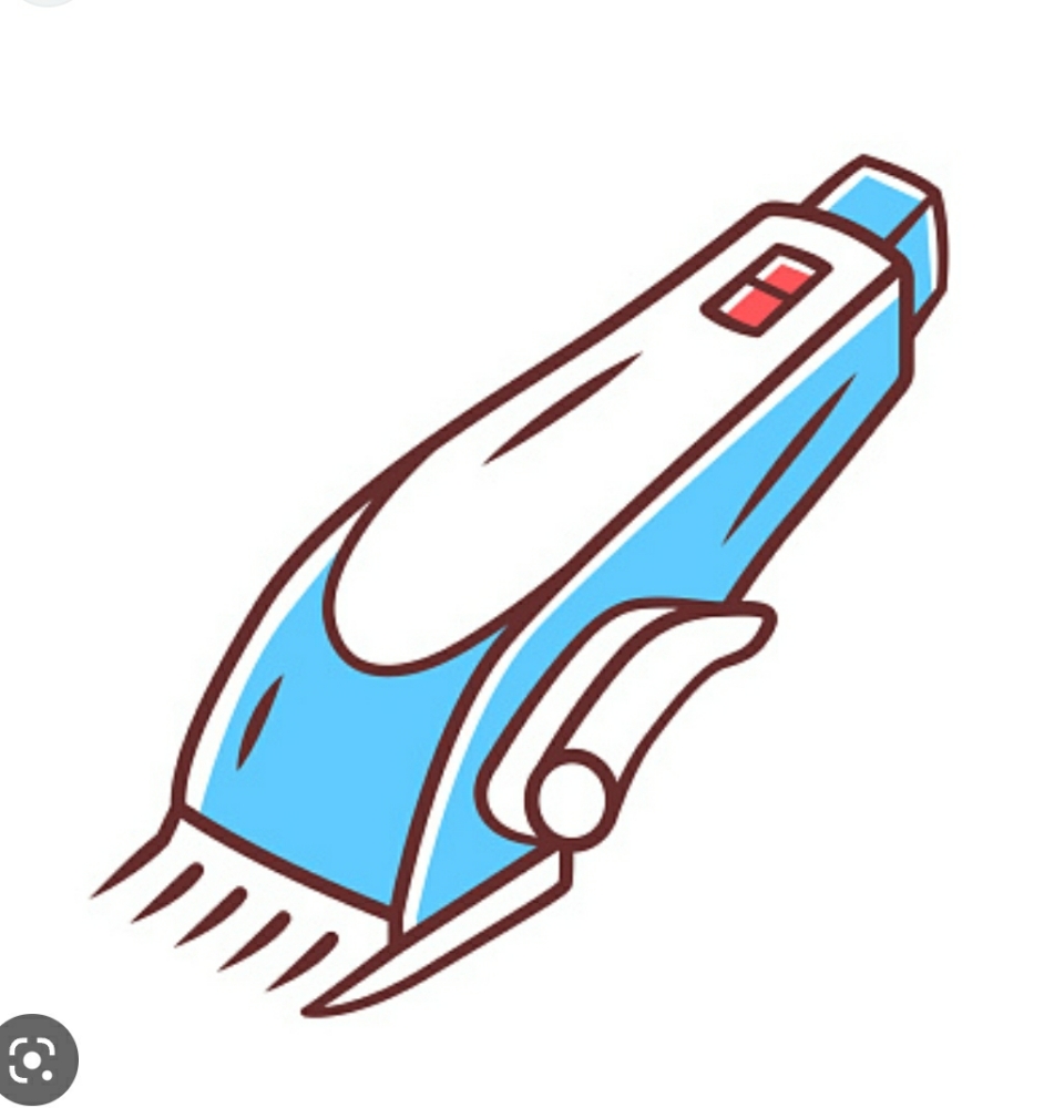 Clipper Cut