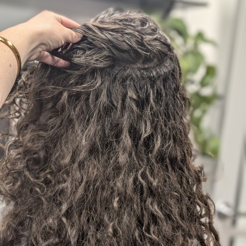Extension Removal at Elevated Curls in Colorado Springs, CO