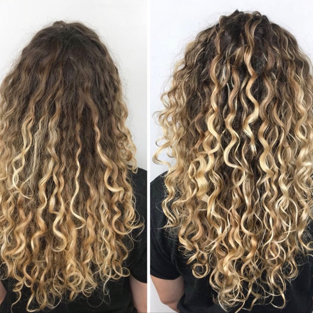 BLOOMLIGHT / PINTURA GLOW