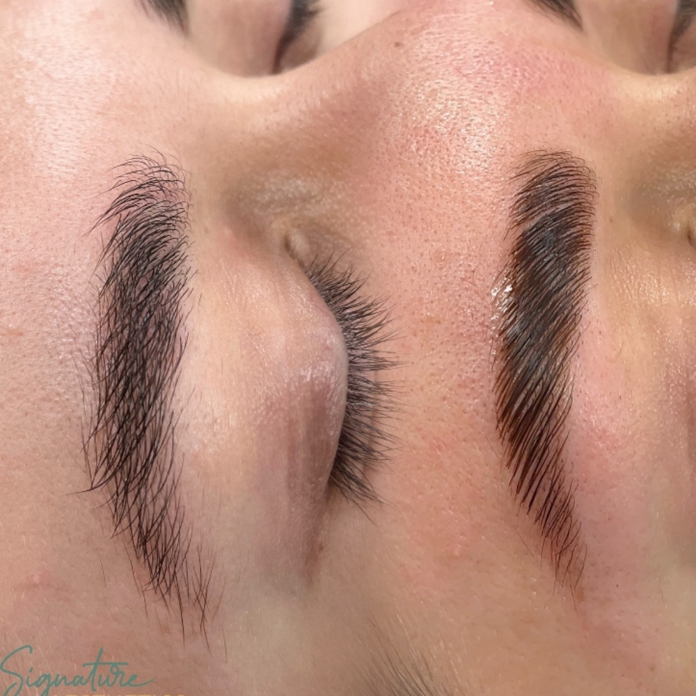 Eyebrow Lamination at Signature Aesthetics in Sanford, ME