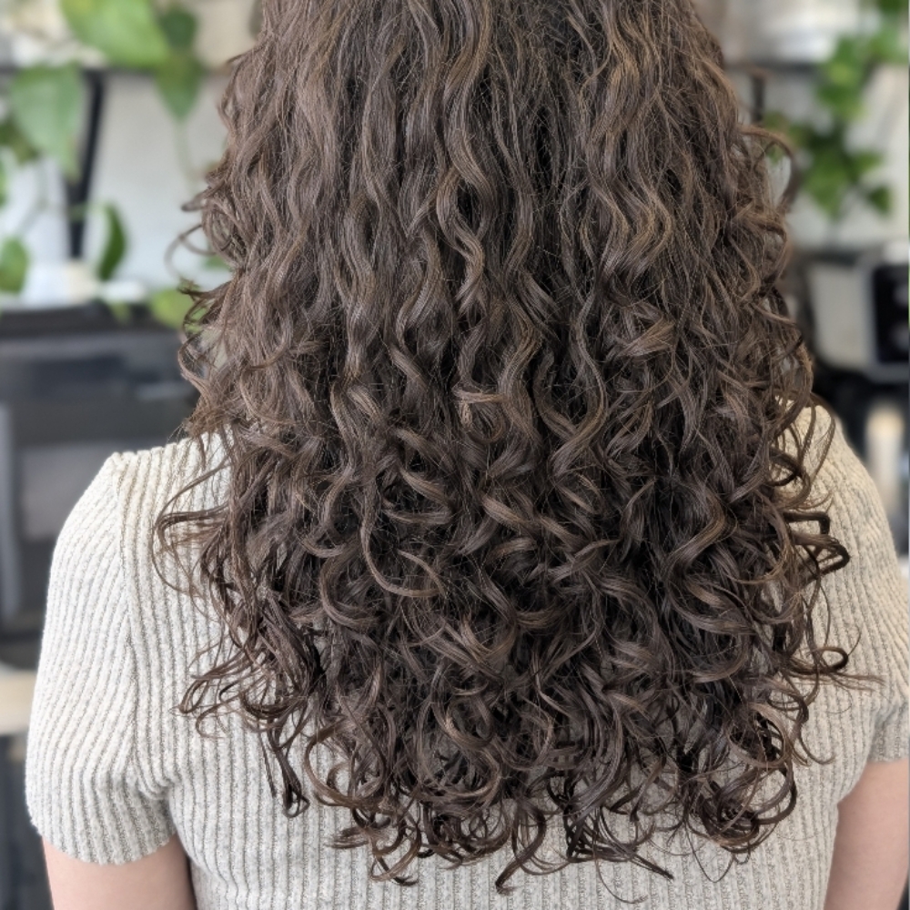 Curly Lesson at Elevated Curls in Colorado Springs, CO