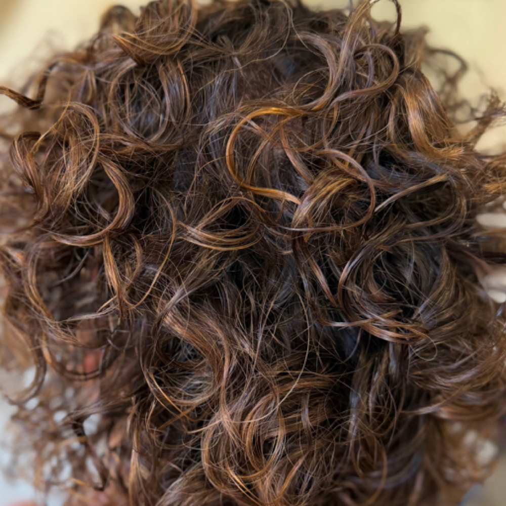 Model Service: Curly Wash + Style at Hair By Sara LeAnn in Pleasanton, CA
