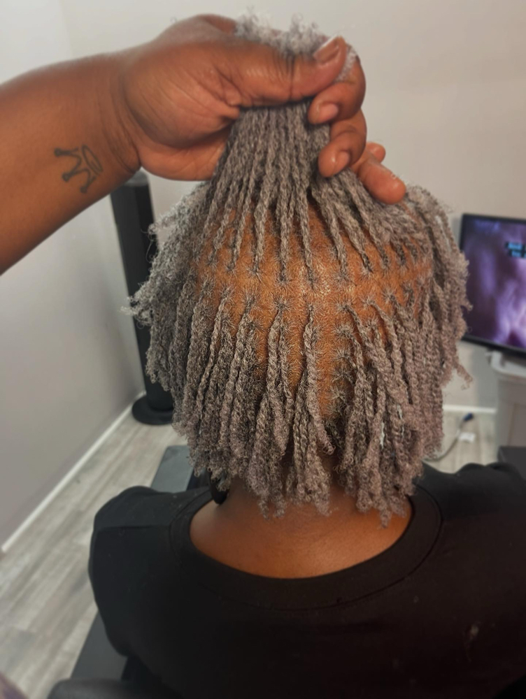 Micro Locs at CurlyQ Braids & Locs in Columbus, GA