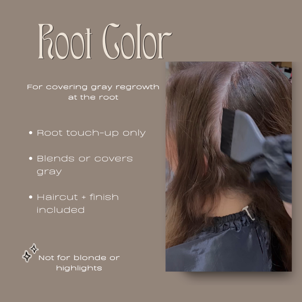 Root Color (Gray Coverage Only) at Painted Hair Studio Salon in McDonough, GA
