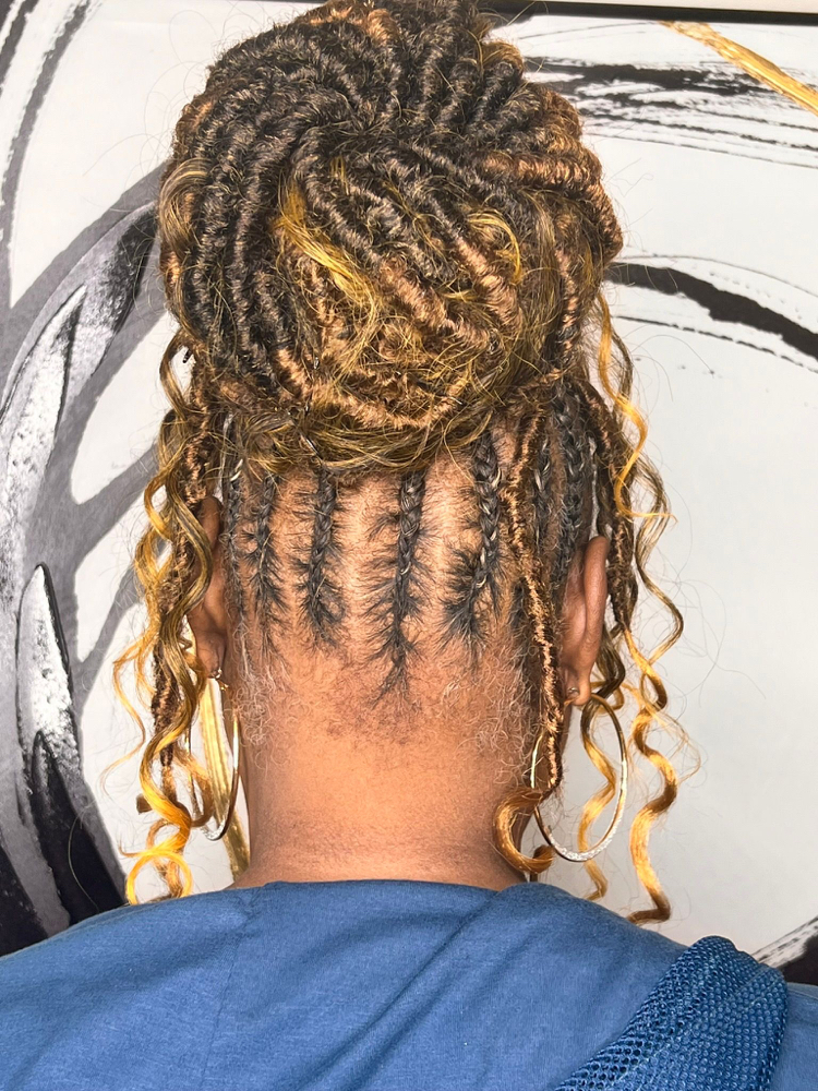 Bohemian Braided Updo