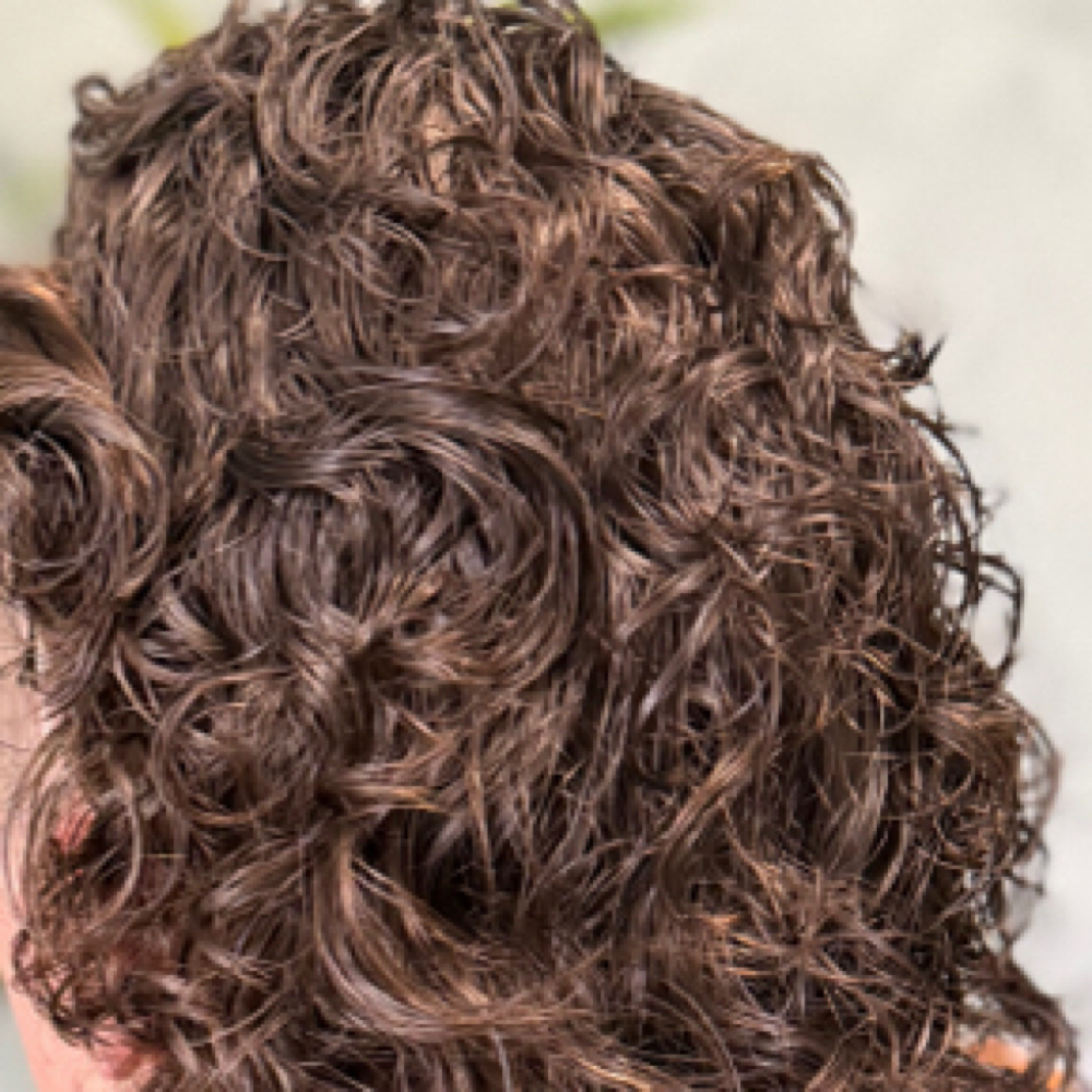 Perm at Shed beauty co in Forest Grove, OR