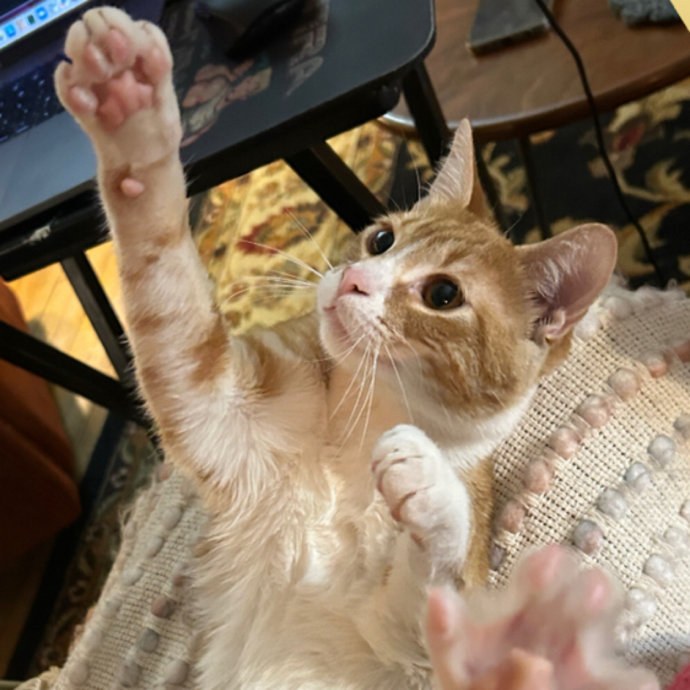 trade at Hailey Kay Hair in Minneapolis, MN