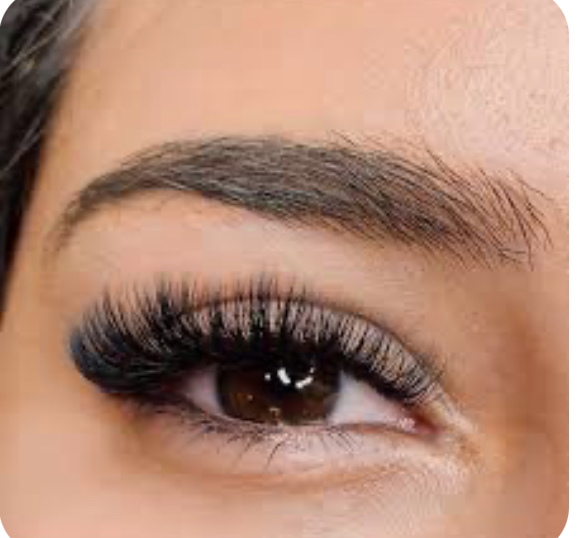 Lash Refill Up To 5 Weeks