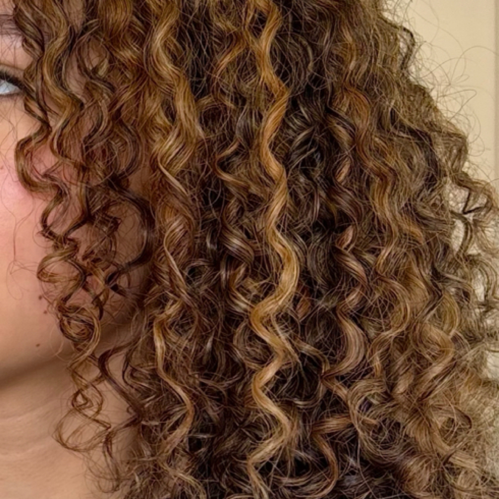 Full Highlight at The Atelier in Kyle, TX