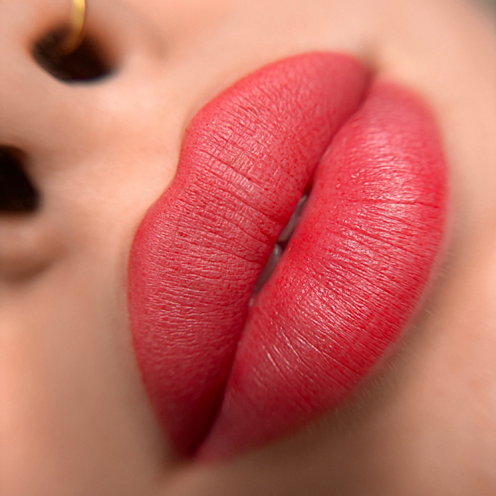 Lip Pigmentation - By Malky at MS Beauty Studio NY in Staten Island, NY