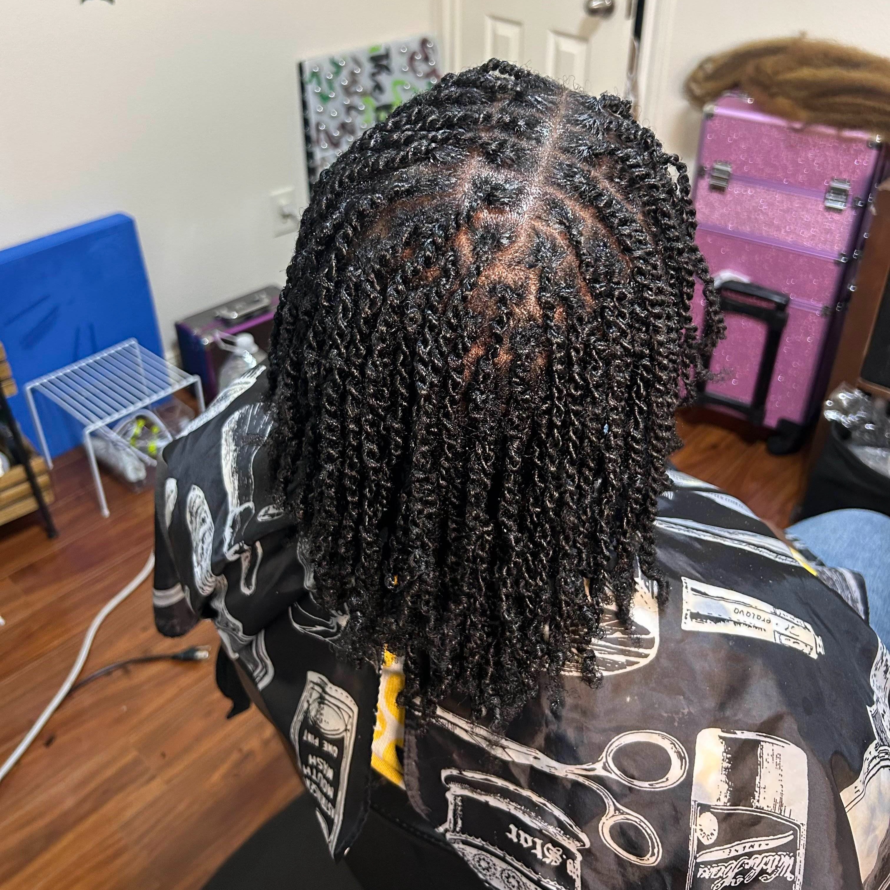 Mini Twists at The Braids Doctor in Houston, TX
