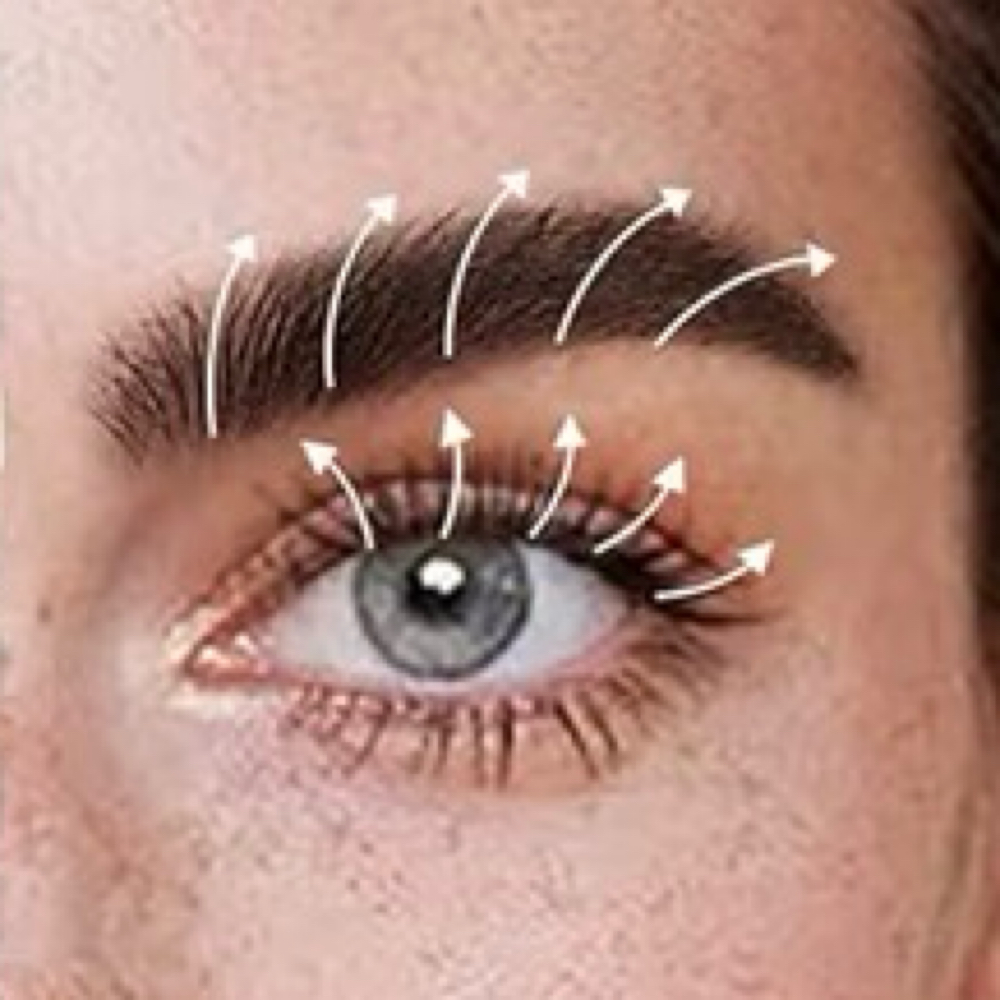 Lamination Lash Lift Combo at BBF STUDIOS in Springfield, VA