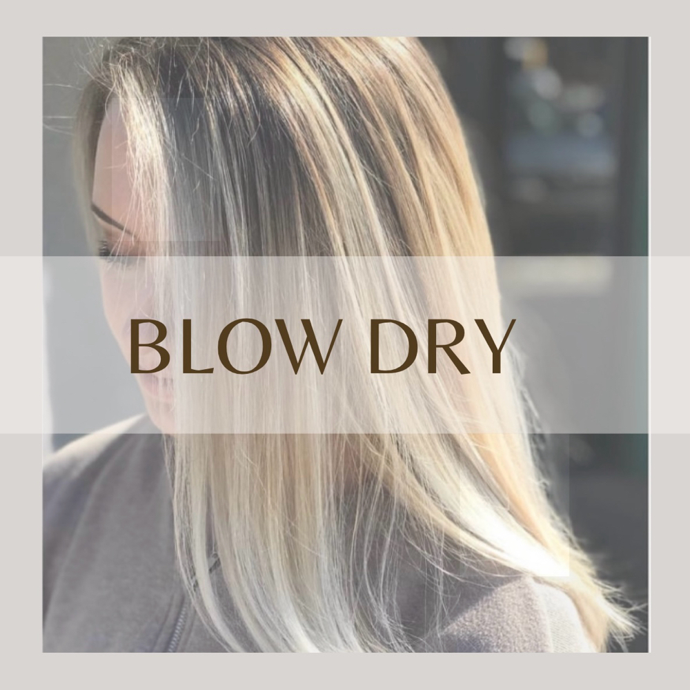 Blow Dry (All levels)