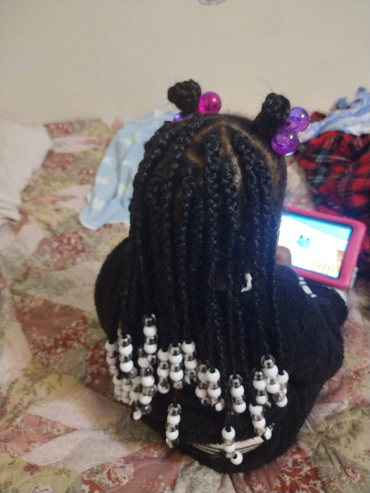 Kid Feed In Braids
