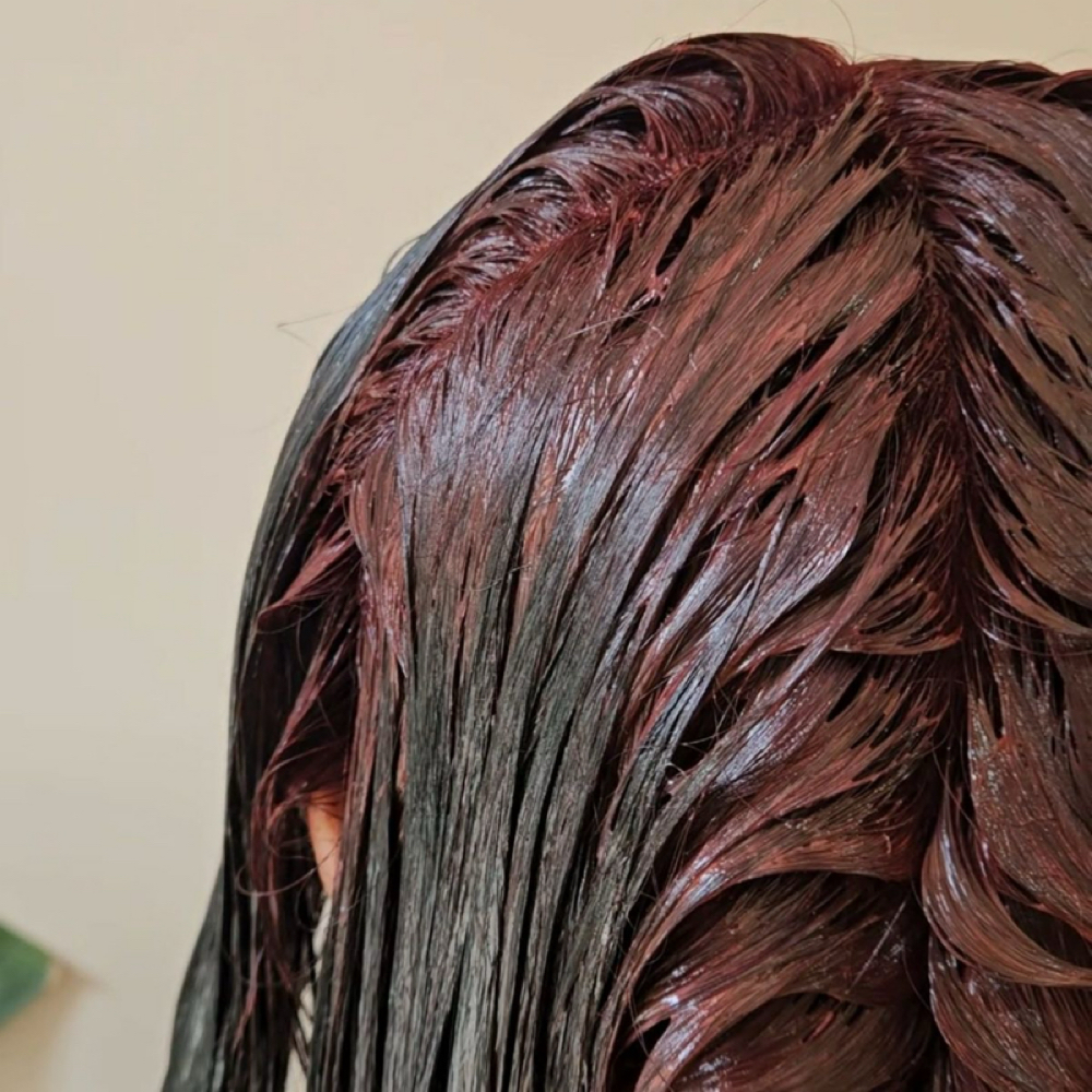 Root Color Retouch at HairXAlliyah in Metairie, LA