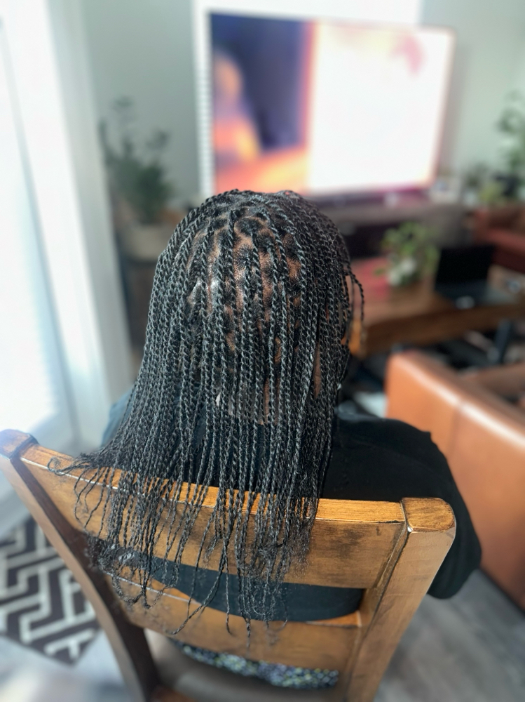 Natural Hair Twists(No Extensions)