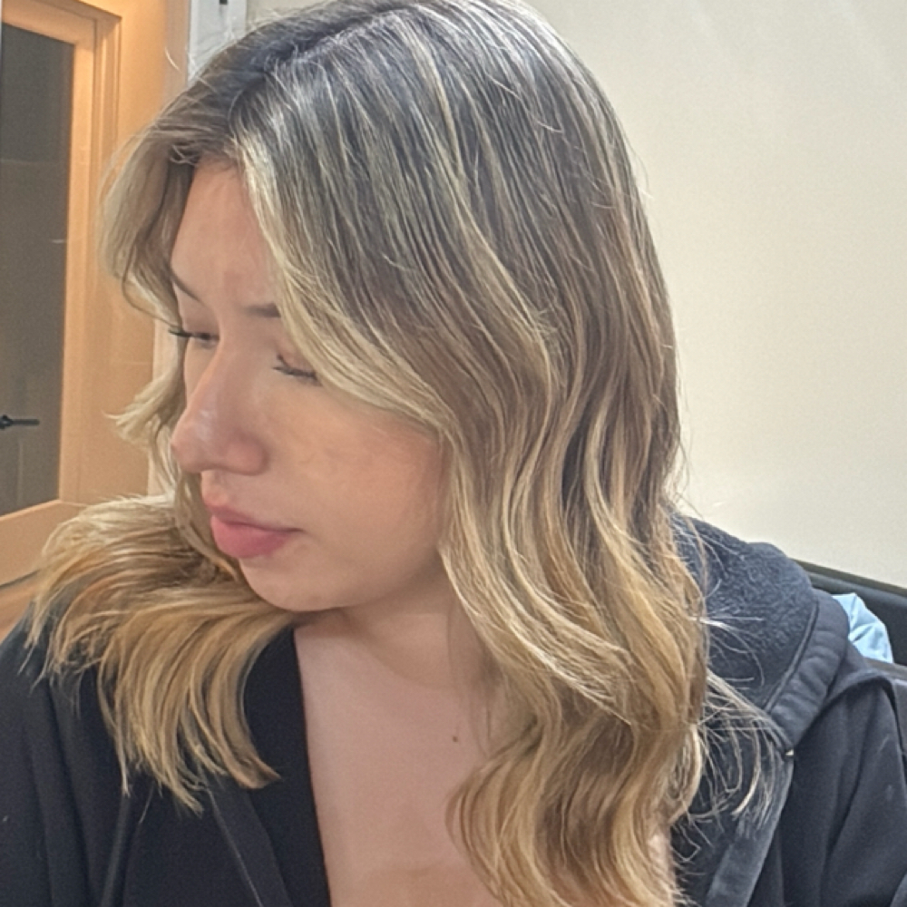 Full Blonding Transformation at Ayelin Beauty in Algonquin, IL
