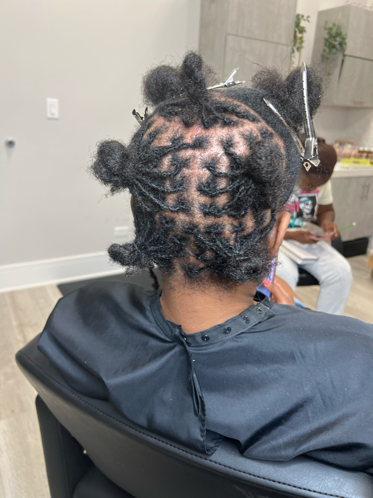 Starter Locs - Micro Locs