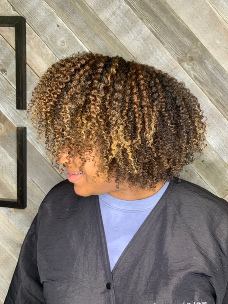 Dimensional Highlights at Texture + Blow Hair Studio in Oak Lawn, IL