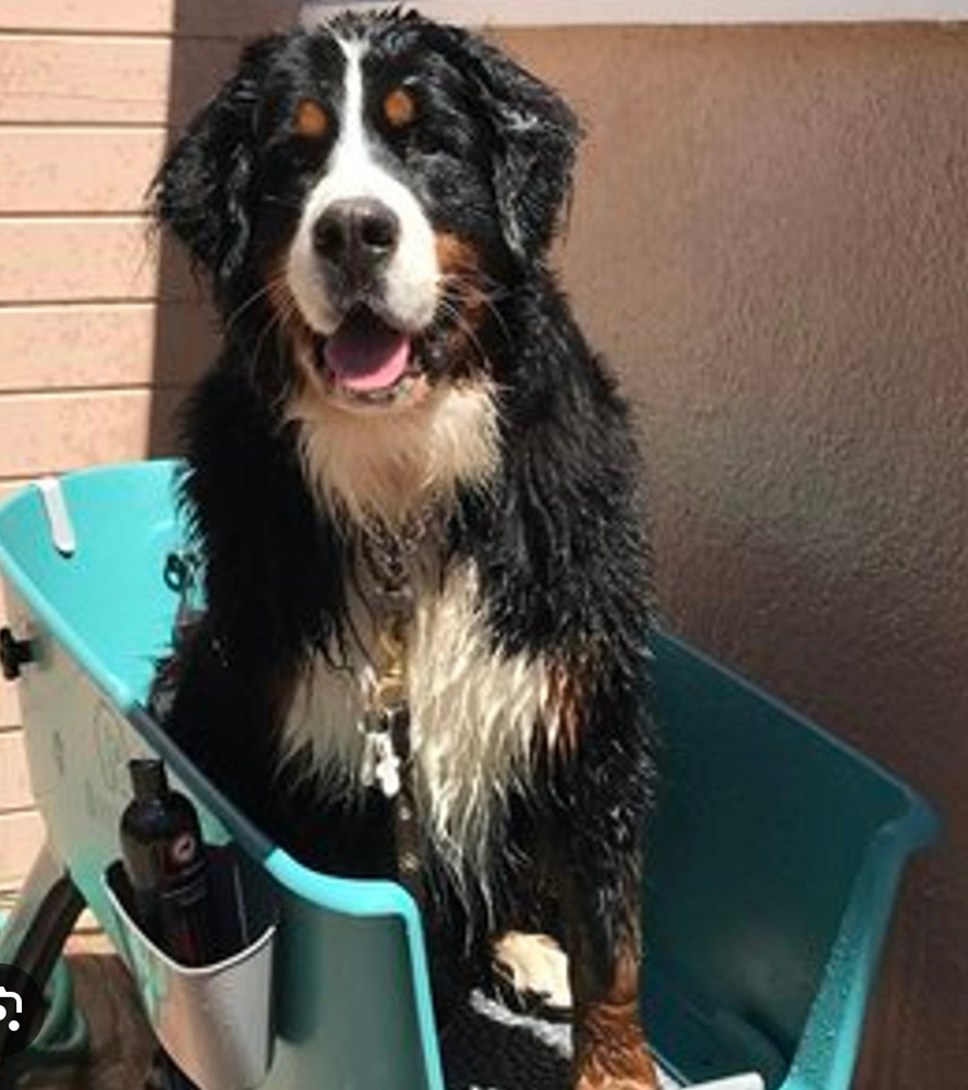 X-Large Bath Package 81lbs +