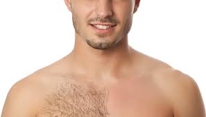 Full Chest