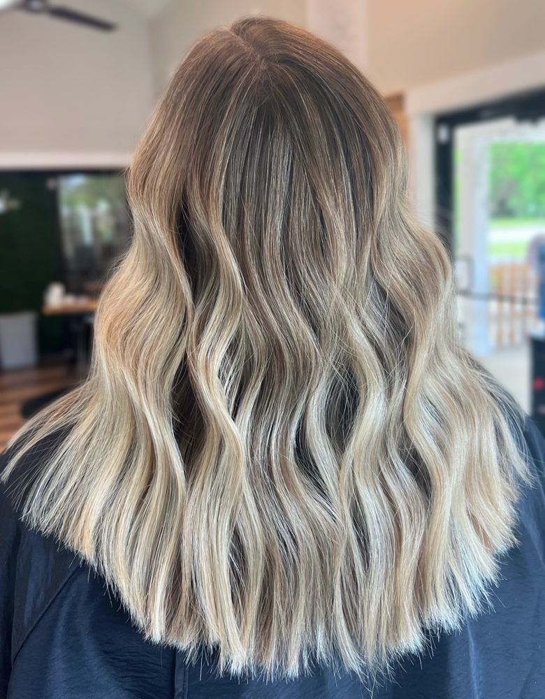 Partial Balayage & Haircut