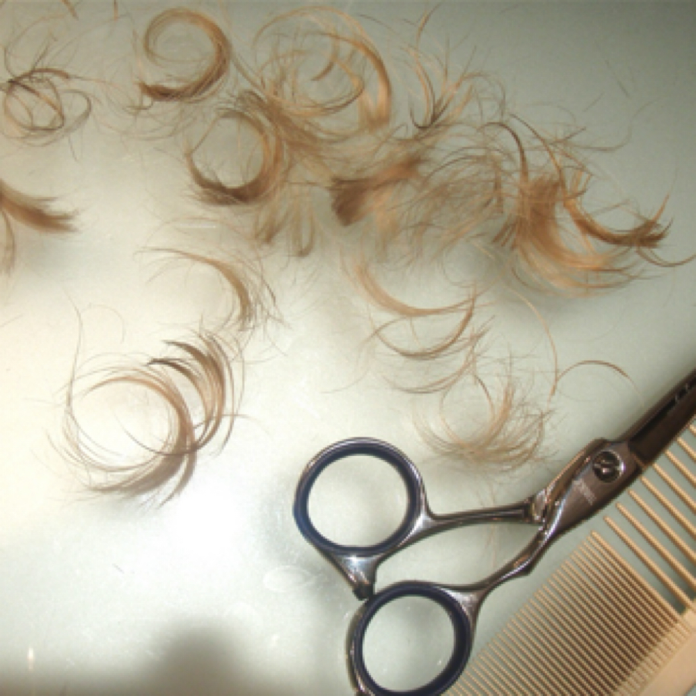 Kids Haircut (12 and Under) at Studio Blonde, LLC in Tyler, TX