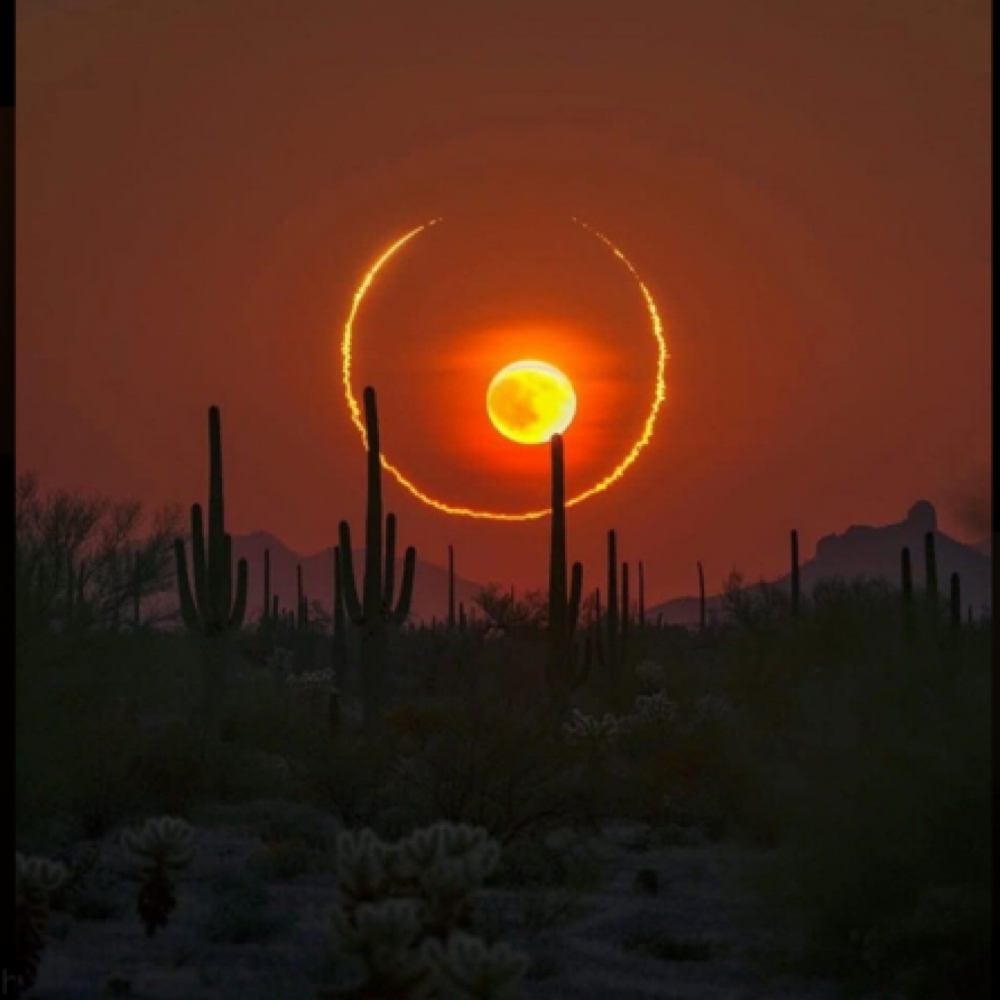 The Halo Package at 3c. Hair. Co. in Kearney Ne, NE