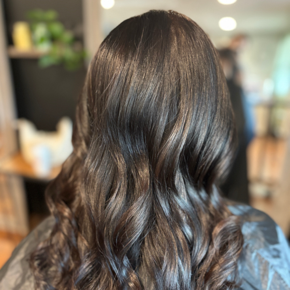 Color Consult at Marley Michelle Hair & Makeup in Bristol, RI