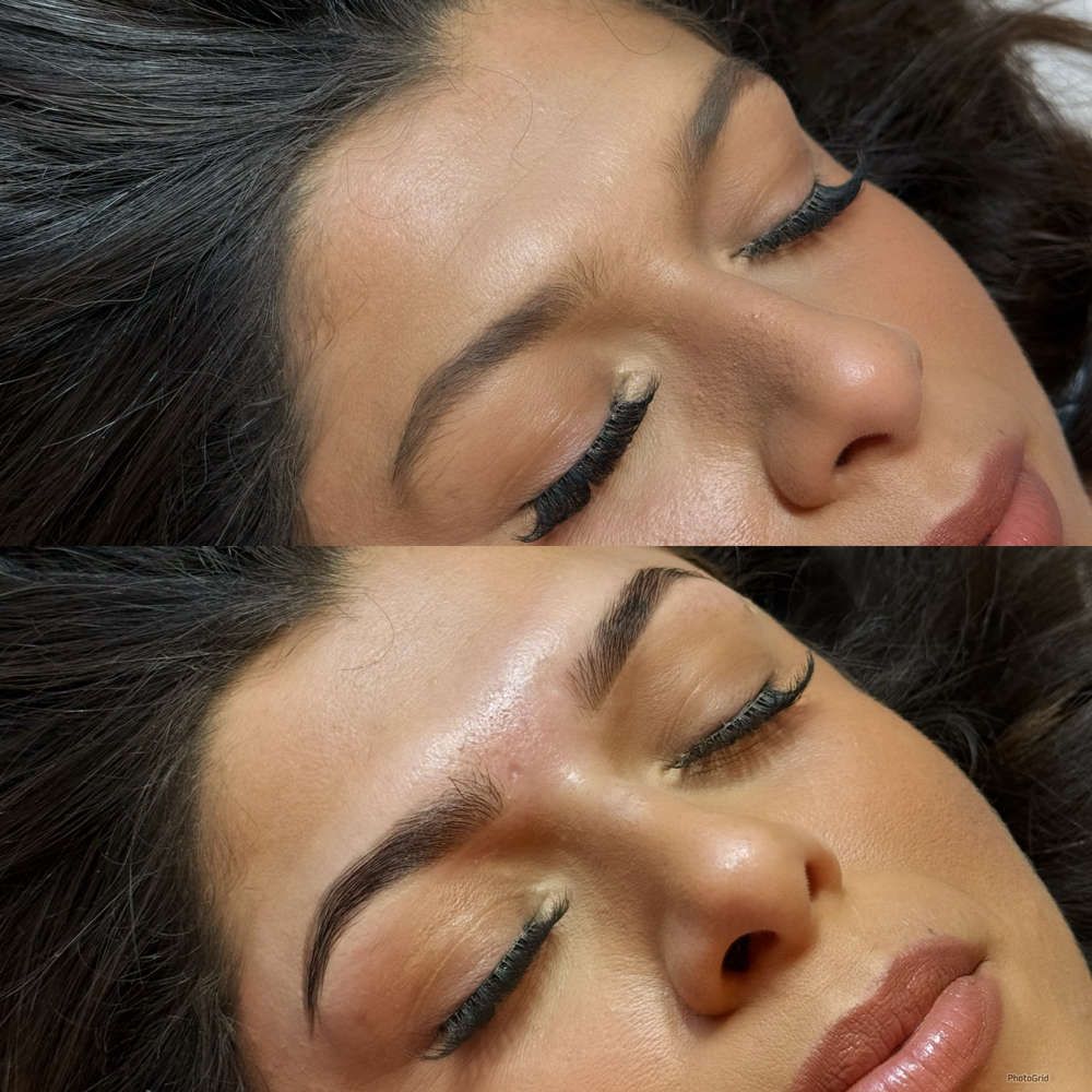 March Special Eyebrow Wax,Lami&Tint at Studio Elysium in Watsonville, CA
