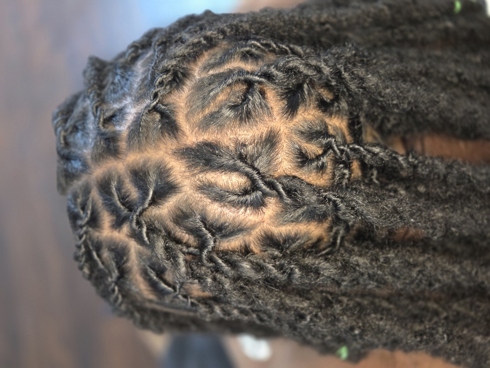 Retwist Plus Styles