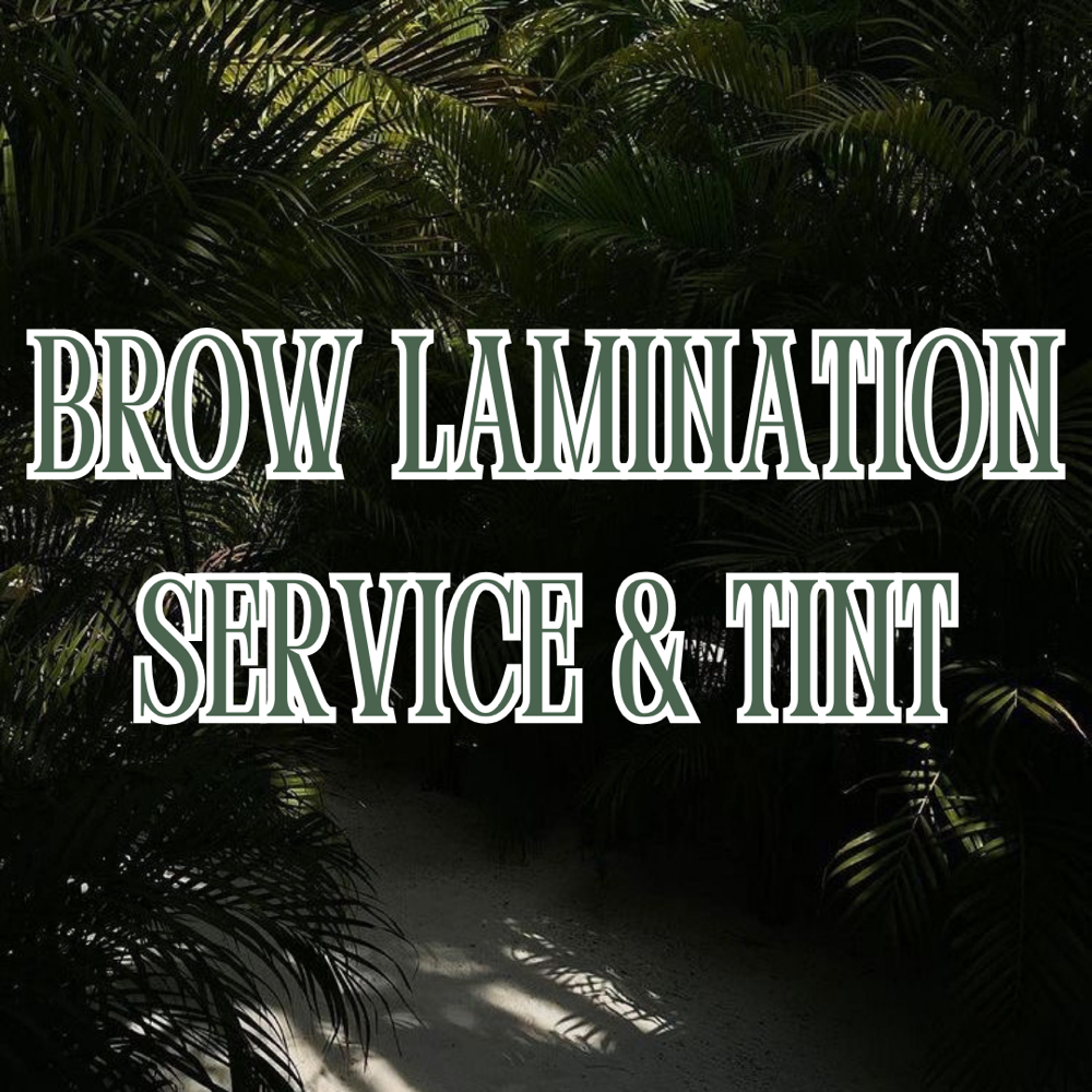 BROW LAMINATION SERVICE & TINT at SkinxHim Aesthetics in Athens, TX