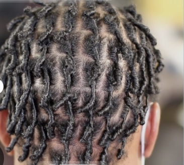 Starter Locs