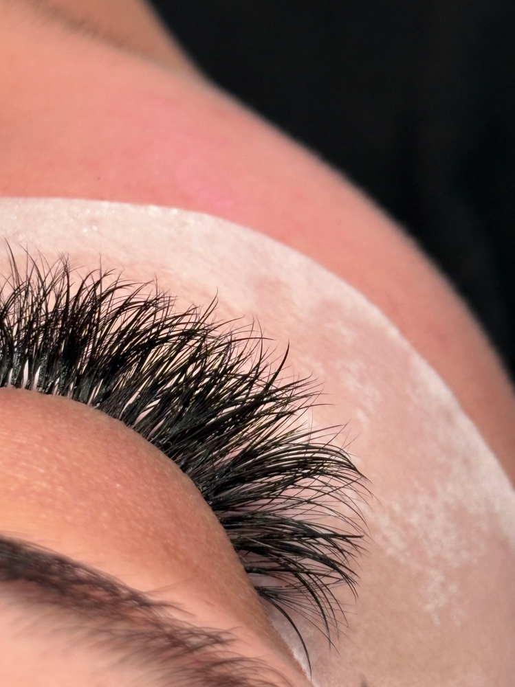 30 Minute Lash Fill at Whipplashed in Oak Hall, VA