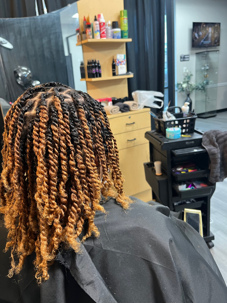 2 Strand Twist On Natural Hair at Bebee's Hands in Valdosta, GA