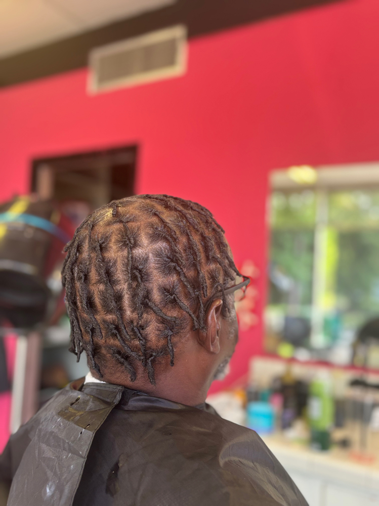 Starter Locs