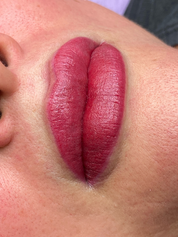 Full Lips at DFW VANNE BROWS STUDIO in Fort Worth, TX