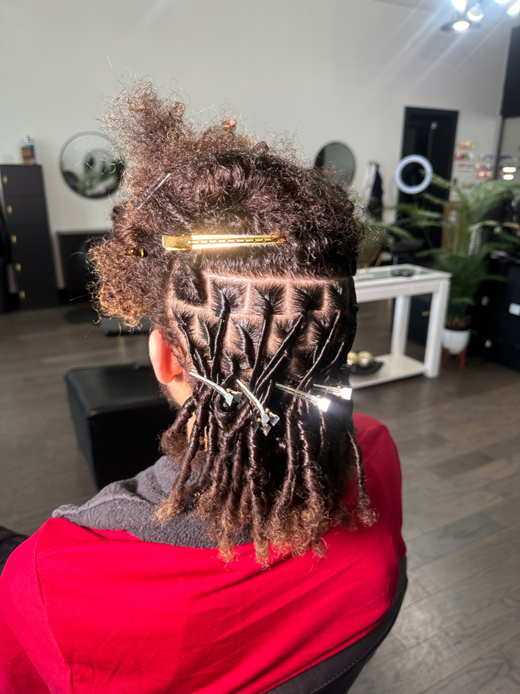 Starter Loc Consultation