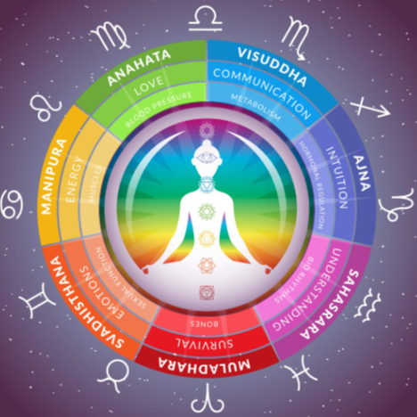 Energy and Somatic Work at Sanique Therapies in Wheatridge, CO