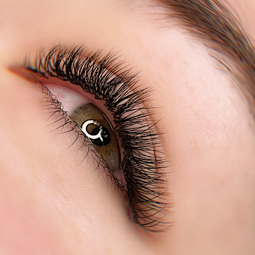2D Full Set at Expression Brow and Lash Studio in Tacoma, WA