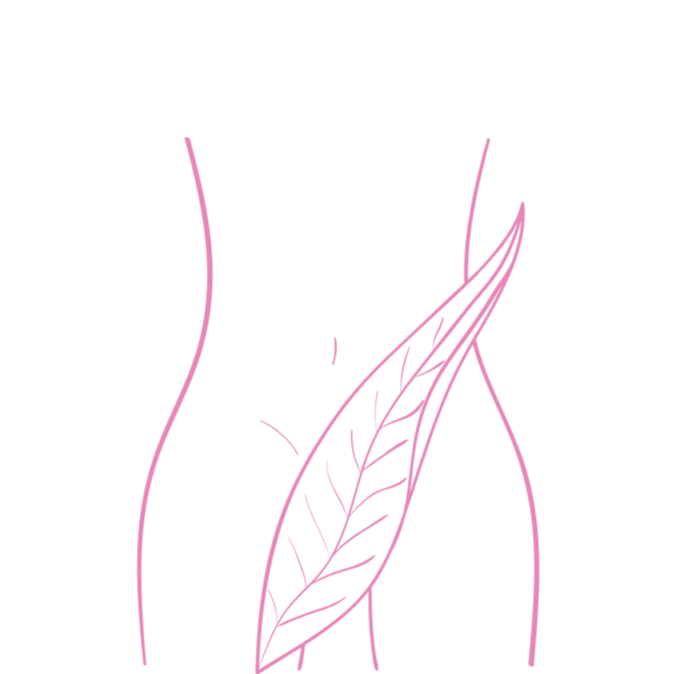 Full Bikini Sugar at Alina’s Spot in Round Rock, TX