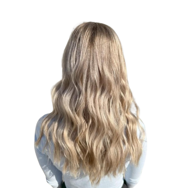 Highlights