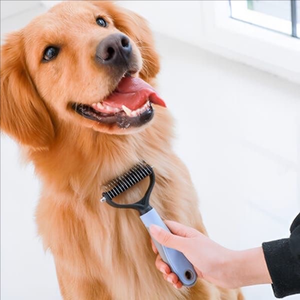 Doggy De-shedding Treatment at Fluff Studio LLC in Masontown, PA