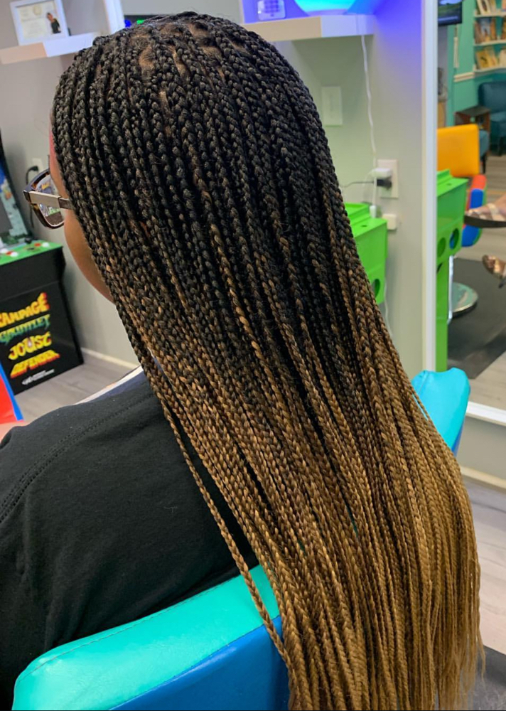 Knotless Braid