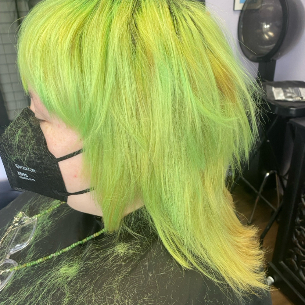 Scissor cut/Shampoo/Style at Mollie’s Magical Hair in Moore, OK