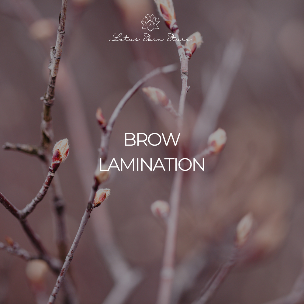 Brow Lamination at Lotus Skin Studio in Sumterville, FL